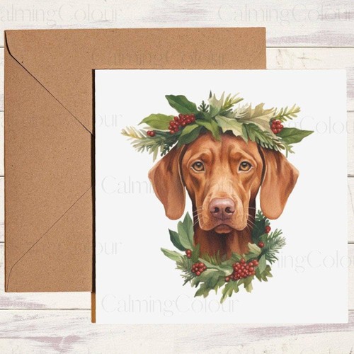 Vizsla wearing green - vizsla,