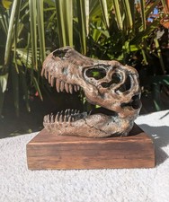 T-Rex Dinosaur Skull Statue