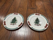 Set of 2  Dinner Plates