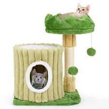 Indoor Versatile Cat Play