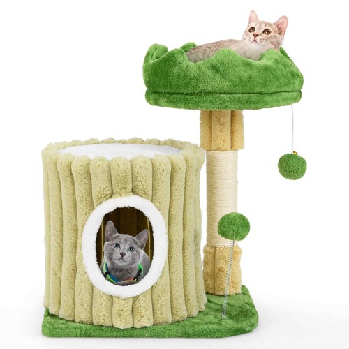 Indoor versatile cat play - indoor,