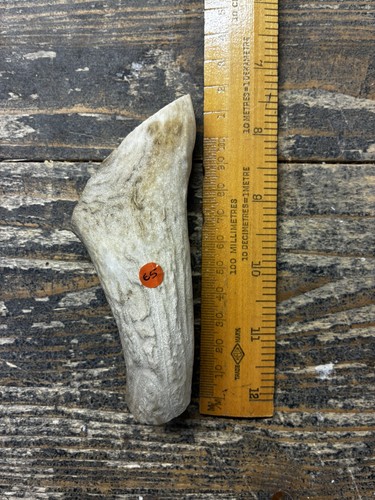 Natural deer antler - dog, chews