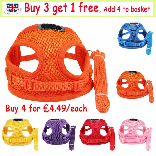Tiny dogs harness - dogs,
