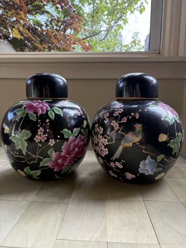 Pair large black - large, ginger