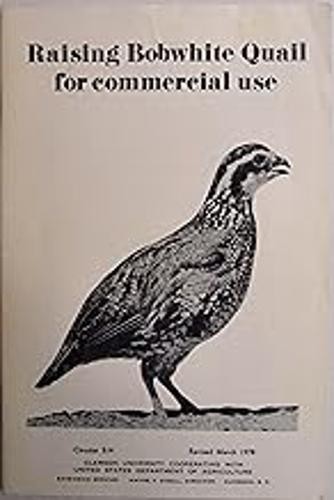 Raising bobwhite quail for - bobwhite,