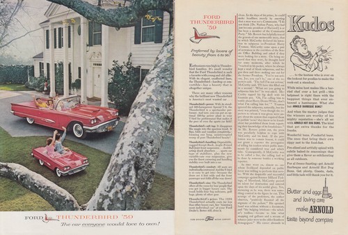 The car everyone would like - , to
