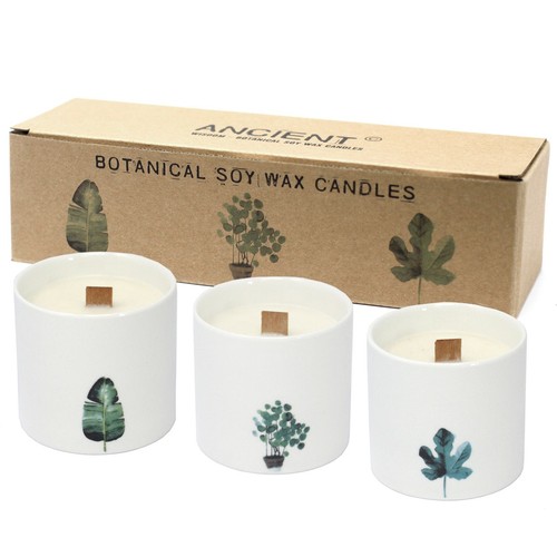 Large botanical candles - large,