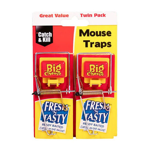 The big cheese fresh - cheese,