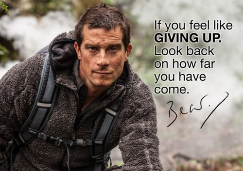 Best bear grylls poster - grylls,