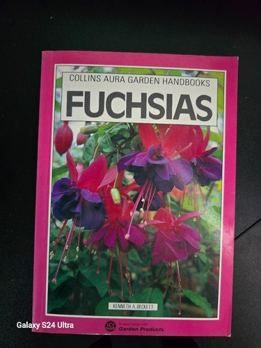 Fuchsias collins aura - (collins, garden
