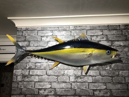 Large antique yellowfin - large,