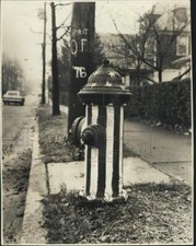 1975 Press Photo American Flag