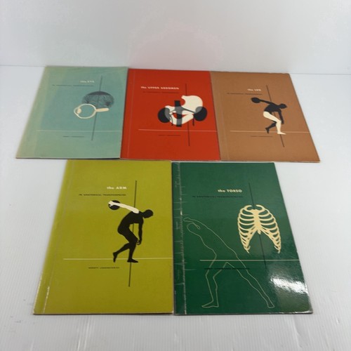 Vintage anatomical - in,