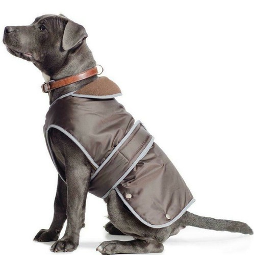 Ancol muddy paws - muddy, xxl