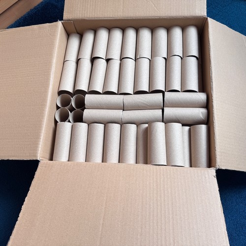 105 empty toilet rolls diy - x,