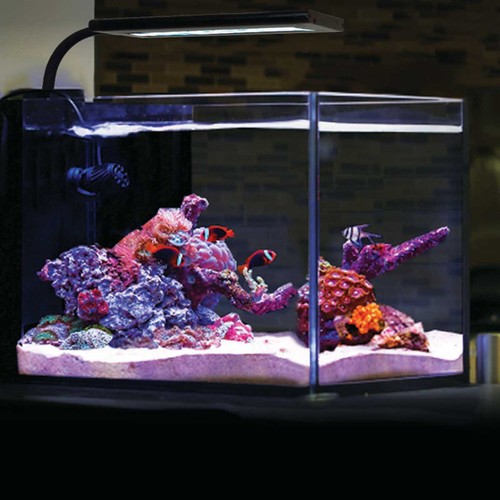 Orbit marine nano - (open, box)