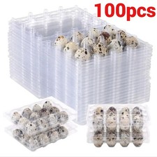 100 X Quail Egg Box Plastic Cartons / 12 Holes