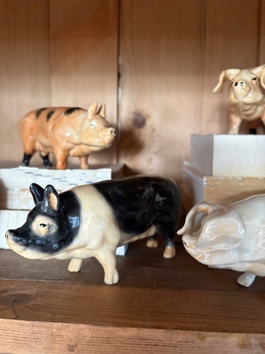 Vintage pottery pigs sows - pottery,