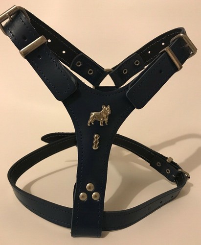 Leather dog - leather,
