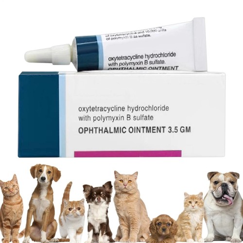 Pet cat dog eye ointment - cat,