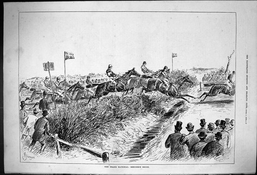 Grand national horse racing - grand,