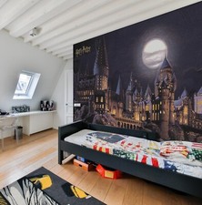 Kids Bedroom wallpaper 252 cm
