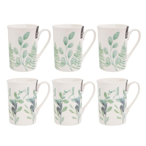 Set eucalyptus new bone - eucalyptus,