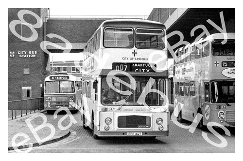 Bus photograph lincoln - photograph, c.t
