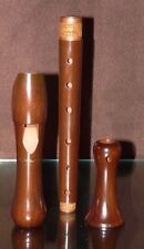 Very Nice! Mollenhauer Student