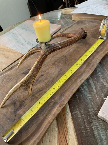 Sika deer antler - sika,