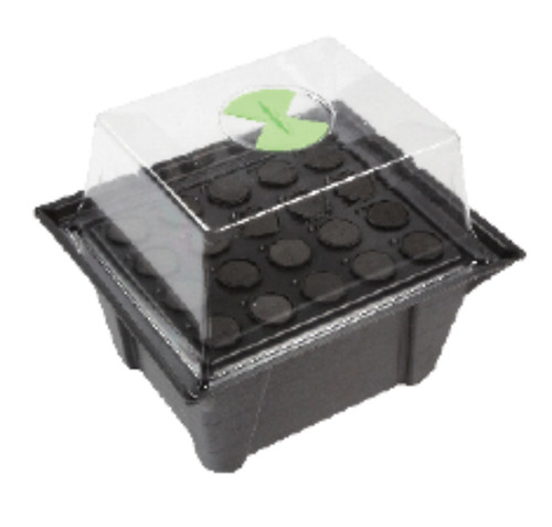 Stream propagators - ,