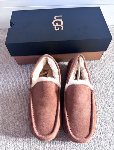 Ugg ascot men brown - men’s, suede