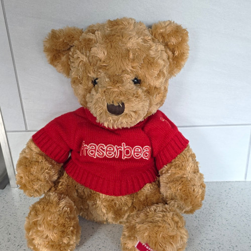Fraserbear brown plush teddy - fraserbear,