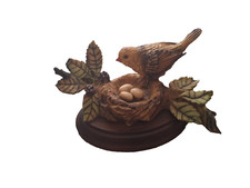 Yellow Hammer Bird on Nest of