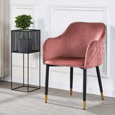 Crushed Velvet Scallop Oyster