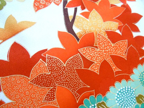 Ayane maple chrysanthemums - &,
