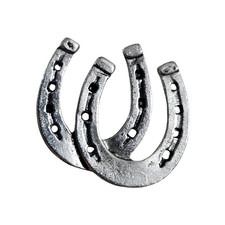 Horseshoe Pin Pewter Badge