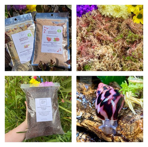 Moss coir food - moss,, food,