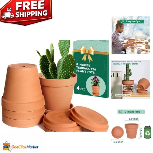 Elegant inch terracotta pots - elegant, 6