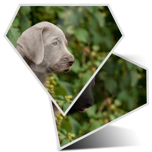 Diamond stickers - 2,