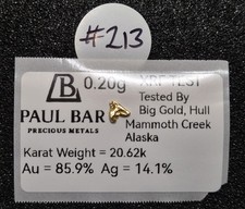 #213 - Natural Gold Nugget