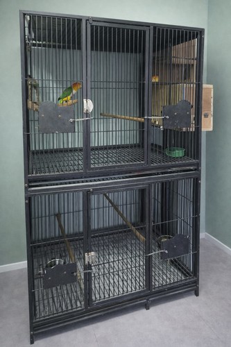 Parrot supplies block set - 4-block,