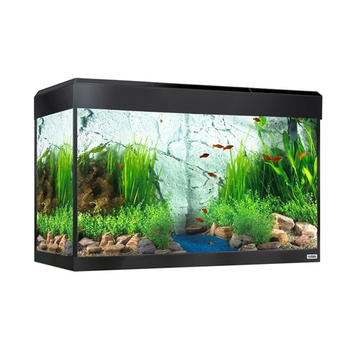 Fluval roma 125 - roma,