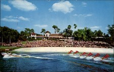 Florida cypress gardens - cypress,
