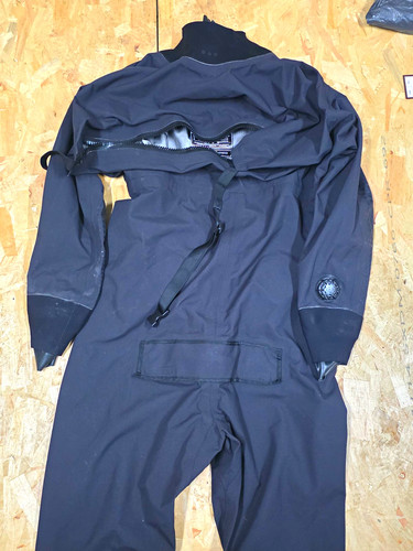 Northern diver black - sf,