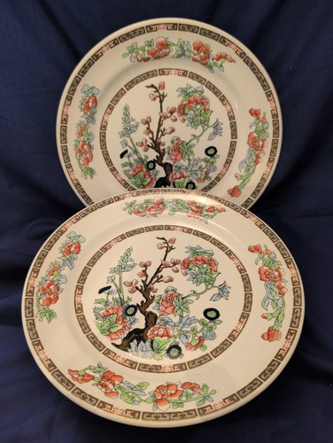 Indian tree dinner - 2x,