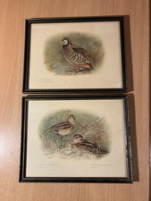 Pair of Black Gold Framed