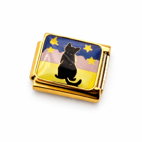 Starry night cat italian - starry,