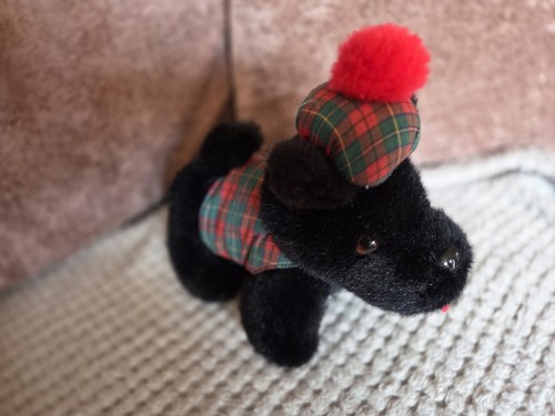 Vtg black highland - vtg, dog