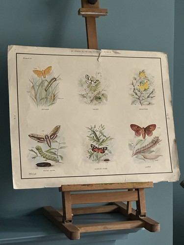 Vintage macmillan school - vintage,